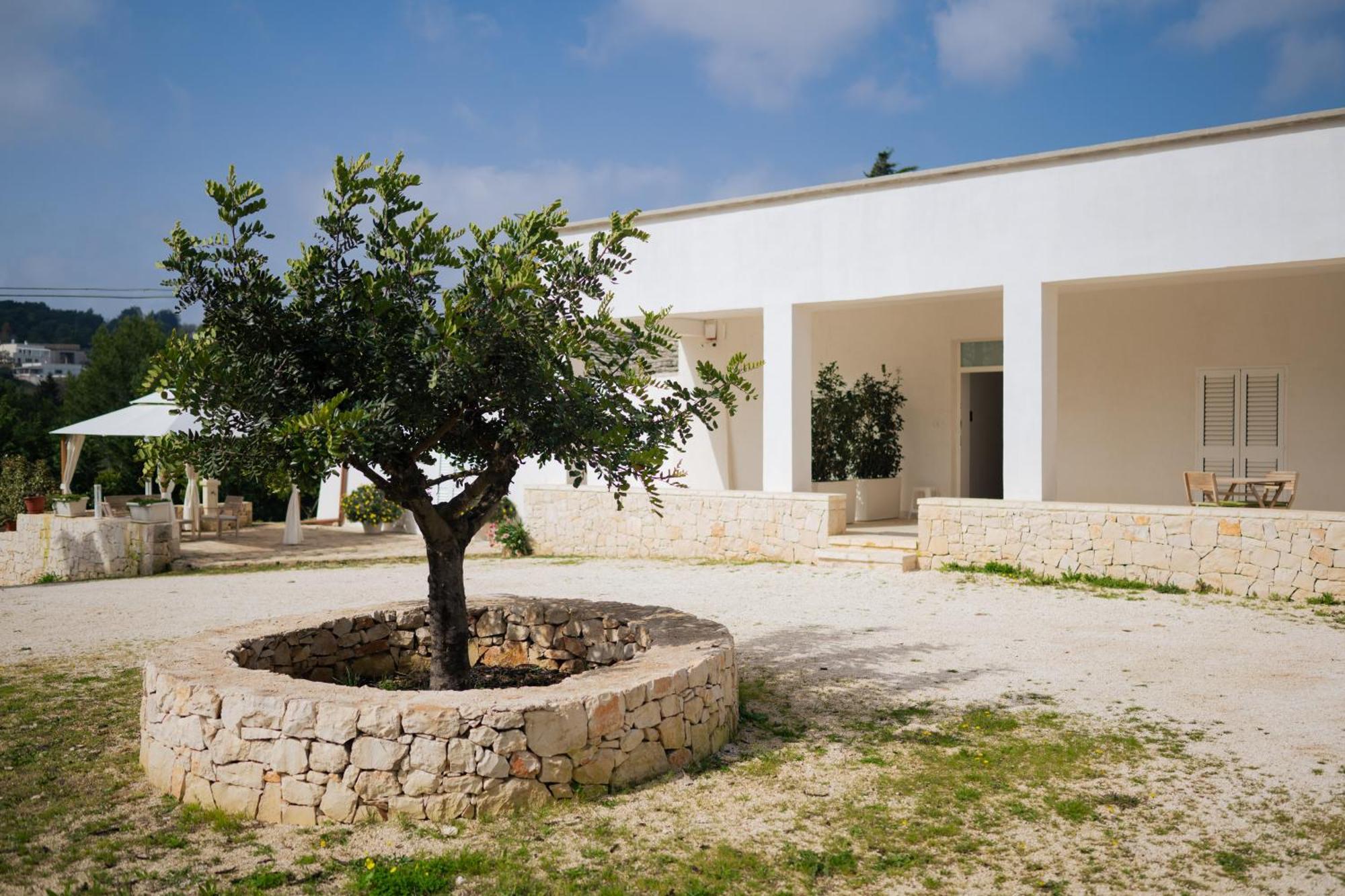 הוילה מרטינה פרנקה Trulli Magda מראה חיצוני תמונה