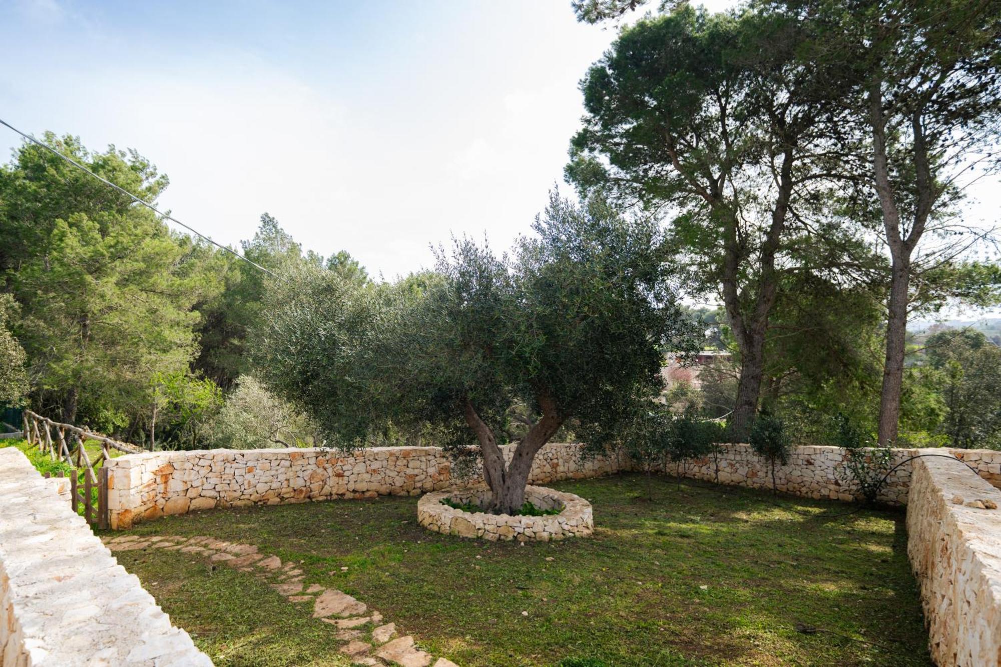 הוילה מרטינה פרנקה Trulli Magda מראה חיצוני תמונה