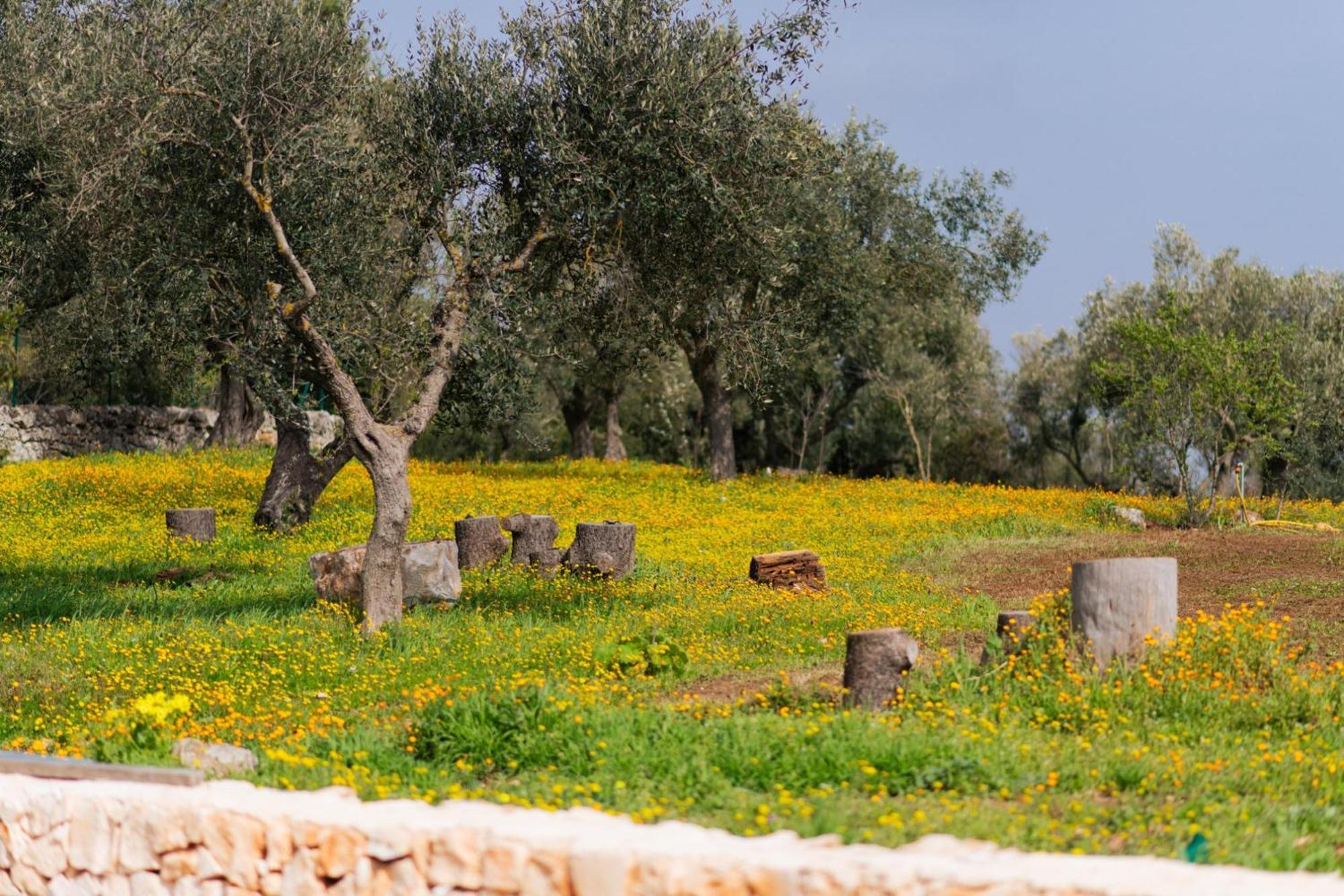 הוילה מרטינה פרנקה Trulli Magda מראה חיצוני תמונה